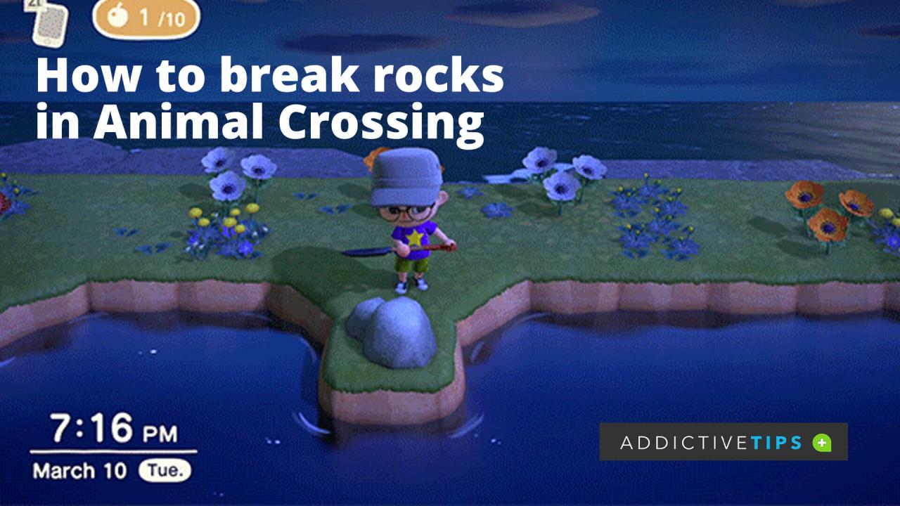 How to Break Rocks in Animal Crossing: Tips and Tricks that Work The Story of a Street: Everyday Lives in a Hidden Corner