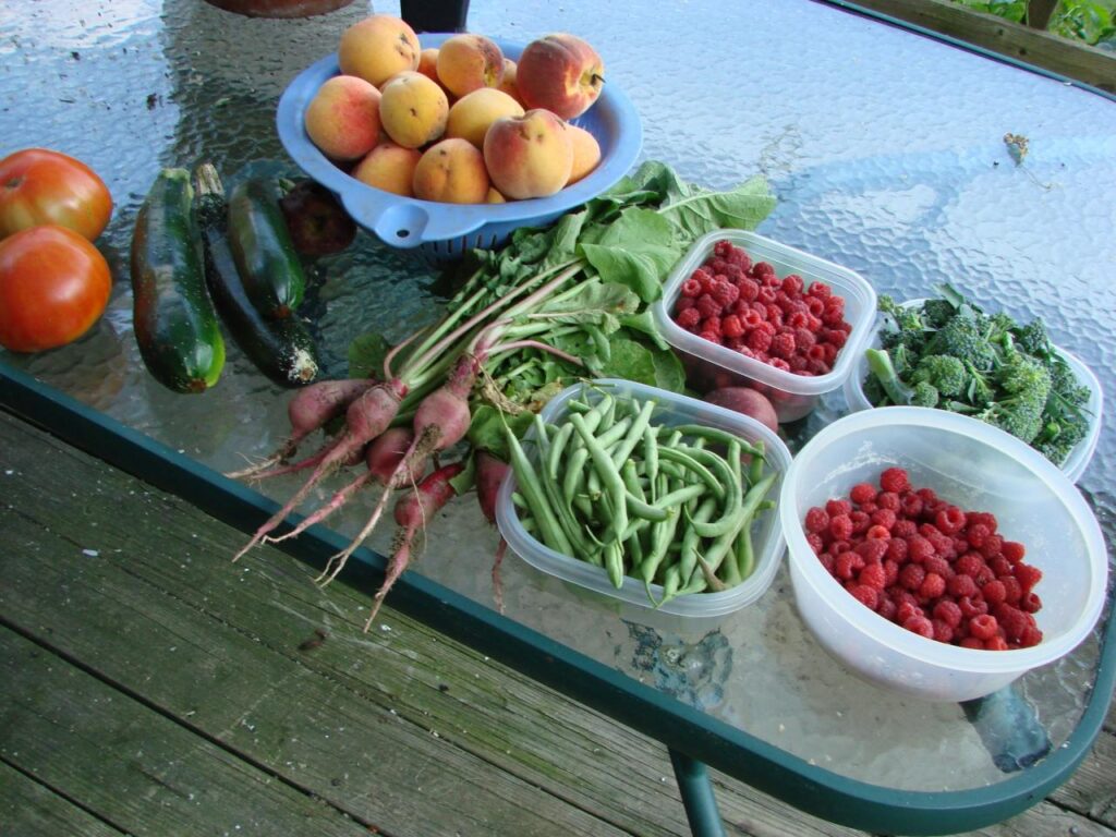 Seasonal Foods That Celebrate Nature’s Bounty